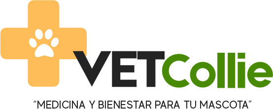 branding logo
